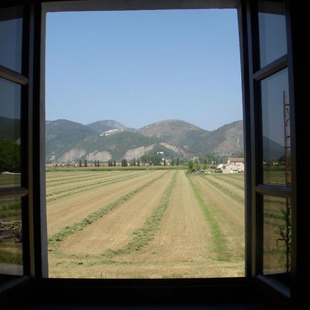 B&B Antica Dimora San Giuliano Terme Kültér fotó