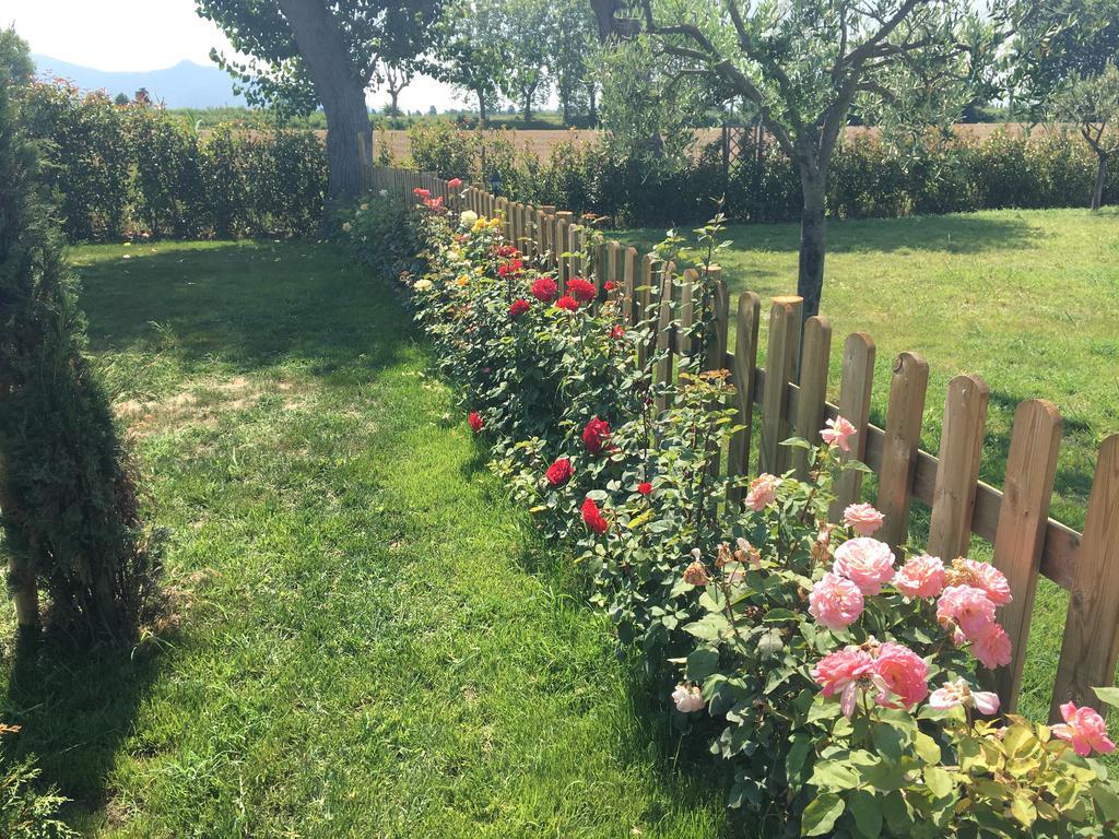 B&B Antica Dimora San Giuliano Terme Kültér fotó
